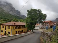 Single-Wanderreise in Nordspanien mit San Sebastian – Picos de Europa – Jakobsweg – Santiago de Compostela – Atlantikküste – Porto (209)