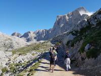 Single-Wanderreise in Nordspanien mit San Sebastian – Picos de Europa – Jakobsweg – Santiago de Compostela – Atlantikküste – Porto (249)