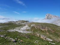 Single-Wanderreise in Nordspanien mit San Sebastian – Picos de Europa – Jakobsweg – Santiago de Compostela – Atlantikküste – Porto (250)