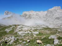 Single-Wanderreise in Nordspanien mit San Sebastian – Picos de Europa – Jakobsweg – Santiago de Compostela – Atlantikküste – Porto (252)