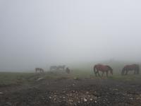 Single-Wanderreise in Nordspanien mit San Sebastian – Picos de Europa – Jakobsweg – Santiago de Compostela – Atlantikküste – Porto (274)