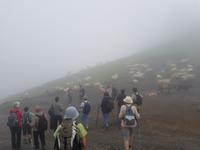 Single-Wanderreise in Nordspanien mit San Sebastian – Picos de Europa – Jakobsweg – Santiago de Compostela – Atlantikküste – Porto (275)