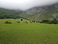 Single-Wanderreise in Nordspanien mit San Sebastian – Picos de Europa – Jakobsweg – Santiago de Compostela – Atlantikküste – Porto (296)