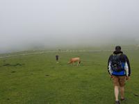 Single-Wanderreise in Nordspanien mit San Sebastian – Picos de Europa – Jakobsweg – Santiago de Compostela – Atlantikküste – Porto (343)