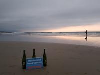 Single-Wanderreise in Nordspanien mit San Sebastian – Picos de Europa – Jakobsweg – Santiago de Compostela – Atlantikküste – Porto (385)