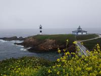 Single-Wanderreise in Nordspanien mit San Sebastian – Picos de Europa – Jakobsweg – Santiago de Compostela – Atlantikküste – Porto (398)