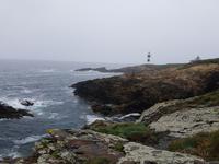 Single-Wanderreise in Nordspanien mit San Sebastian – Picos de Europa – Jakobsweg – Santiago de Compostela – Atlantikküste – Porto (399)