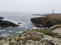 Single-Wanderreise in Nordspanien mit San Sebastian – Picos de Europa – Jakobsweg – Santiago de Compostela – Atlantikküste – Porto (401)