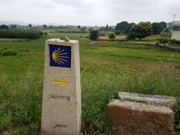 Single-Wanderreise in Nordspanien mit San Sebastian – Picos de Europa – Jakobsweg – Santiago de Compostela – Atlantikküste – Porto (417)