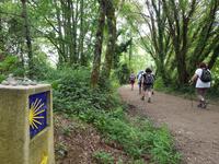 Single-Wanderreise in Nordspanien mit San Sebastian – Picos de Europa – Jakobsweg – Santiago de Compostela – Atlantikküste – Porto (420)