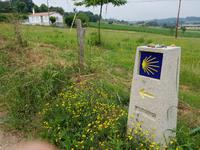 Single-Wanderreise in Nordspanien mit San Sebastian – Picos de Europa – Jakobsweg – Santiago de Compostela – Atlantikküste – Porto (422)