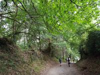 Single-Wanderreise in Nordspanien mit San Sebastian – Picos de Europa – Jakobsweg – Santiago de Compostela – Atlantikküste – Porto (430)