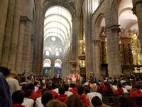 Single-Wanderreise in Nordspanien mit San Sebastian – Picos de Europa – Jakobsweg – Santiago de Compostela – Atlantikküste – Porto (459)