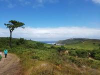 Single-Wanderreise in Nordspanien mit San Sebastian – Picos de Europa – Jakobsweg – Santiago de Compostela – Atlantikküste – Porto (502)