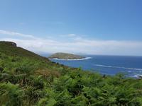 Single-Wanderreise in Nordspanien mit San Sebastian – Picos de Europa – Jakobsweg – Santiago de Compostela – Atlantikküste – Porto (520)