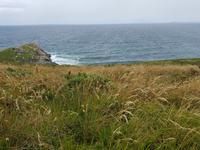 Single-Wanderreise in Nordspanien mit San Sebastian – Picos de Europa – Jakobsweg – Santiago de Compostela – Atlantikküste – Porto (523)