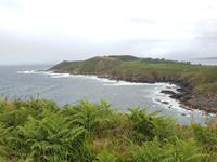 Single-Wanderreise in Nordspanien mit San Sebastian – Picos de Europa – Jakobsweg – Santiago de Compostela – Atlantikküste – Porto (524)