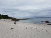 Single-Wanderreise in Nordspanien mit San Sebastian – Picos de Europa – Jakobsweg – Santiago de Compostela – Atlantikküste – Porto (529)