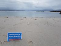 Single-Wanderreise in Nordspanien mit San Sebastian – Picos de Europa – Jakobsweg – Santiago de Compostela – Atlantikküste – Porto (531)