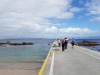 Single-Wanderreise in Nordspanien mit San Sebastian – Picos de Europa – Jakobsweg – Santiago de Compostela – Atlantikküste – Porto (552)