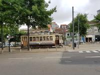 Single-Wanderreise in Nordspanien mit San Sebastian – Picos de Europa – Jakobsweg – Santiago de Compostela – Atlantikküste – Porto (558)