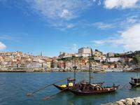 Single-Wanderreise in Nordspanien mit San Sebastian – Picos de Europa – Jakobsweg – Santiago de Compostela – Atlantikküste – Porto (564)