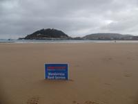 Wanderreise Nord-Spanien – Jakobsweg und Atlantik (111)