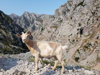 Wanderreise Nord-Spanien – Jakobsweg und Atlantik (236)