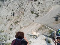 Wanderreise Nord-Spanien – Jakobsweg und Atlantik (242)