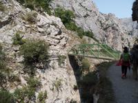 Wanderreise Nord-Spanien – Jakobsweg und Atlantik (274)