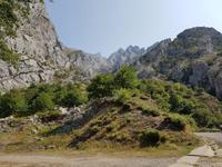 Wanderreise Nord-Spanien – Jakobsweg und Atlantik (302)