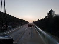 Wanderreise Nord-Spanien – Jakobsweg und Atlantik (337)