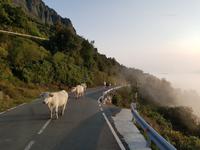 Wanderreise Nord-Spanien – Jakobsweg und Atlantik (362)