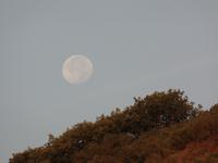 Wanderreise Nord-Spanien – Jakobsweg und Atlantik (363)