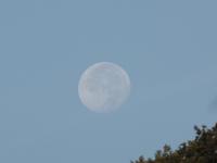 Wanderreise Nord-Spanien – Jakobsweg und Atlantik (364)