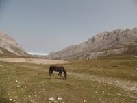 Wanderreise Nord-Spanien – Jakobsweg und Atlantik (459)