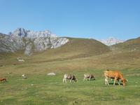 Wanderreise Nord-Spanien – Jakobsweg und Atlantik (463)