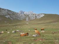 Wanderreise Nord-Spanien – Jakobsweg und Atlantik (464)