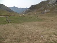 Wanderreise Nord-Spanien – Jakobsweg und Atlantik (469)