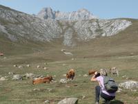 Wanderreise Nord-Spanien – Jakobsweg und Atlantik (471)