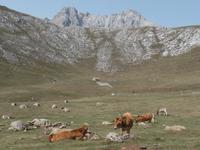 Wanderreise Nord-Spanien – Jakobsweg und Atlantik (472)