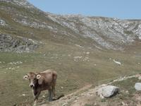 Wanderreise Nord-Spanien – Jakobsweg und Atlantik (473)