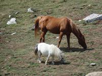 Wanderreise Nord-Spanien – Jakobsweg und Atlantik (474)