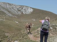 Wanderreise Nord-Spanien – Jakobsweg und Atlantik (475)