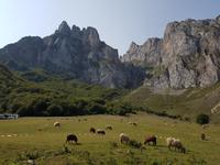 Wanderreise Nord-Spanien – Jakobsweg und Atlantik (483)