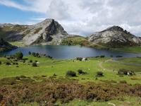 Wanderreise Nord-Spanien – Jakobsweg und Atlantik (514)