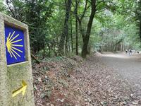 Wanderreise Nord-Spanien – Jakobsweg und Atlantik (583)