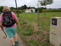 Wanderreise Nord-Spanien – Jakobsweg und Atlantik (585)