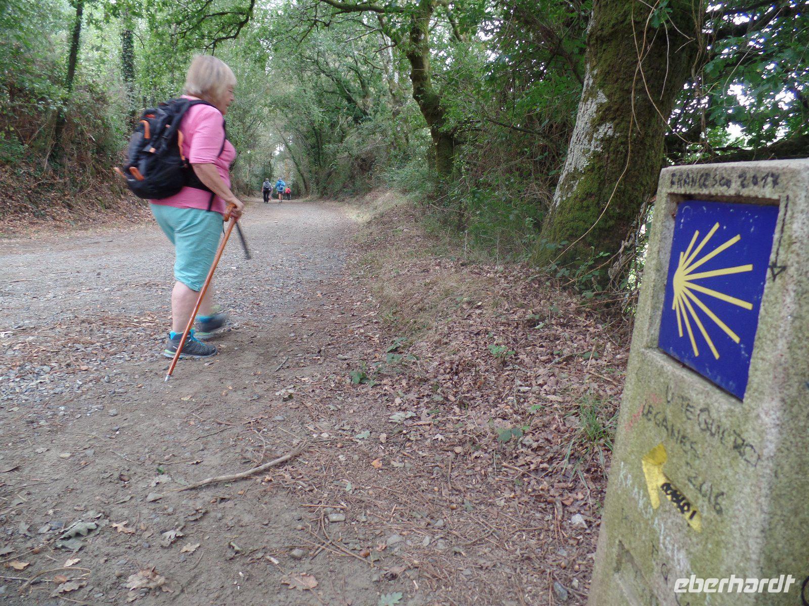 Wanderreise Nord-Spanien – Jakobsweg und Atlantik (586)