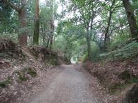 Wanderreise Nord-Spanien – Jakobsweg und Atlantik (587)